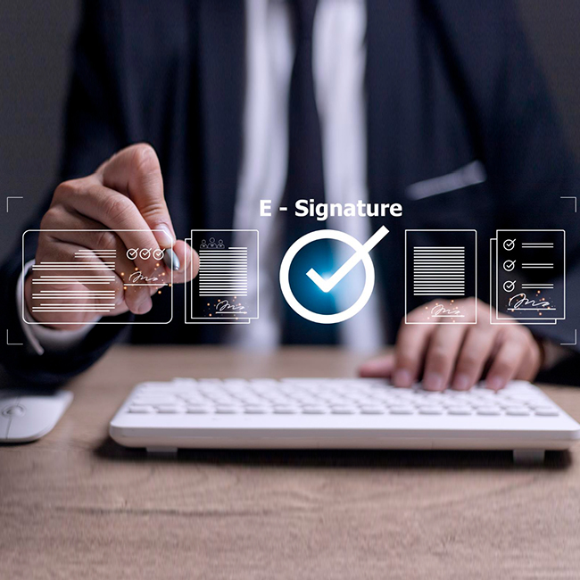 Terms and Conditions